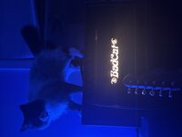 IMG_7328.jpeg