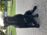 IMG_1626.jpeg