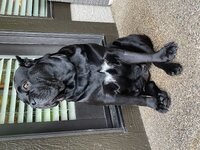 IMG_1555.jpeg