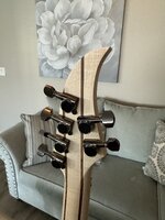IMG_5535.jpeg