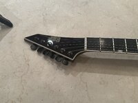 IMG_3462.jpeg