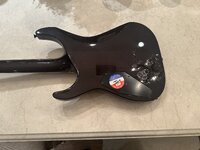 IMG_3464.jpeg