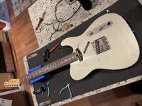 IMG_2223.jpeg