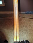 tele neck back.JPG