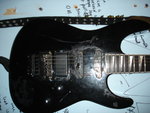 DSC06022.JPG