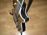 lp-fl2.JPG