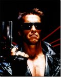 82the-terminator.jpg