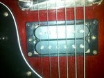 IMG_20101229_222228.jpg