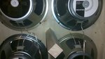 2011-01-08_16-51-16_312.jpg