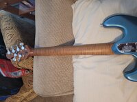 20210711_072829.jpg