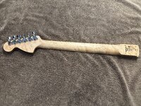 IMG_3380.jpeg