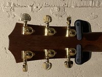 IMG_8355.jpeg