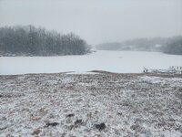 snow.jpg