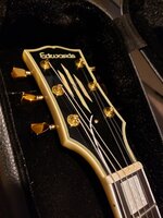 Edwards LP 2.jpeg