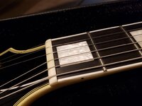 Edwards LP 3.jpeg