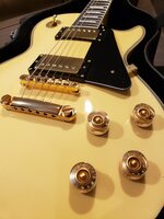 Edwards LP 5.jpeg
