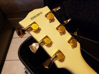 Edwards LP 6.jpeg