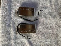 IMG_8655.jpeg