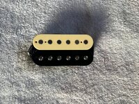IMG_8657.jpeg