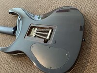 IMG_4034.jpeg