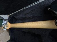 IMG_1469.jpeg