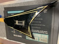 IMG_0258.jpeg