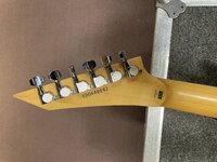 IMG_0259.jpeg