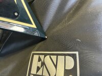 IMG_0265.jpeg