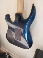 blue cali 1.jpg