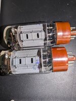 PXL_20250322_020540845.jpg