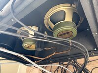IMG_2859.jpeg