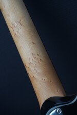 DSC07513.JPG