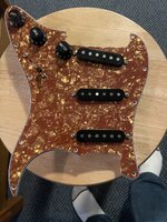 IMG_3566.jpeg