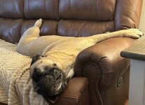 IMG_4103.jpeg