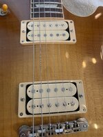 IMG_2566.jpeg