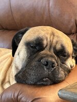 IMG_4086.jpeg