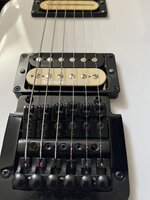 IMG_1921.jpeg