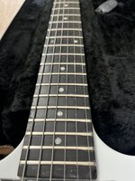 IMG_1924.jpeg