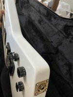 IMG_1930.jpeg