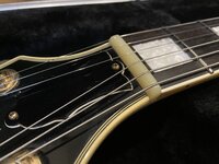 IMG_4246.jpeg