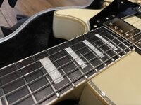 IMG_4248.jpeg