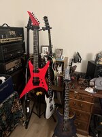 IMG_6738.jpeg