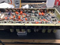 IMG_0123.jpeg