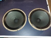 IMG_1832.jpeg