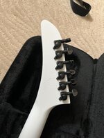 IMG_1932.jpeg