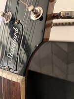 IMG_5375.jpeg