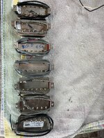 IMG_8810.jpeg