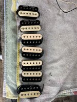 IMG_8811.jpeg
