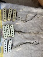 IMG_8813.jpeg
