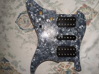 PXL_20250526_170747578.jpg